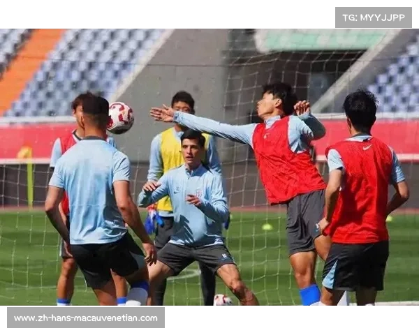 申花队下午集结近半队员缺席备战训练面临挑战